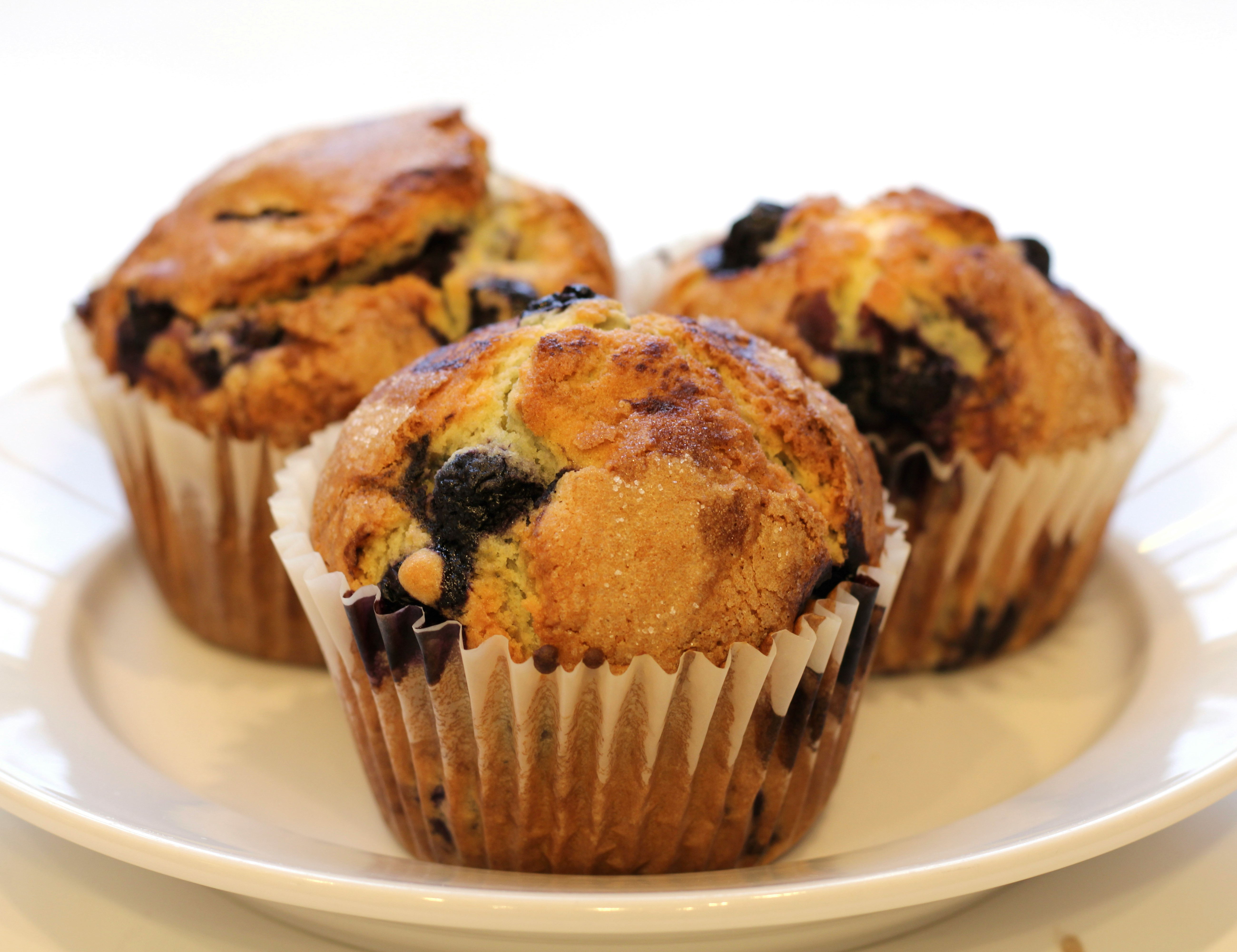 three blueberry muffins on a white plate